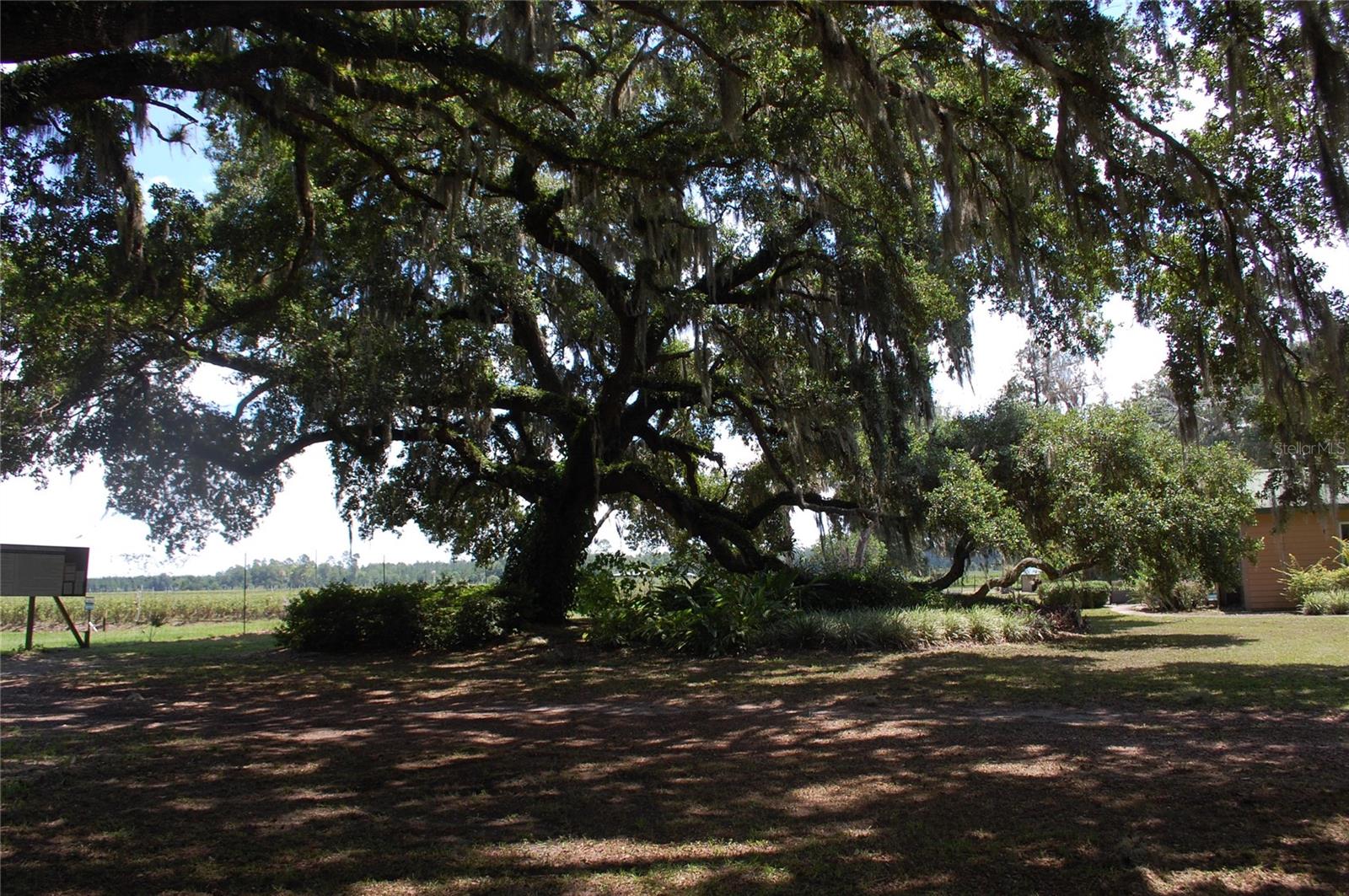 LOCHLOSSA FARMS - Residential