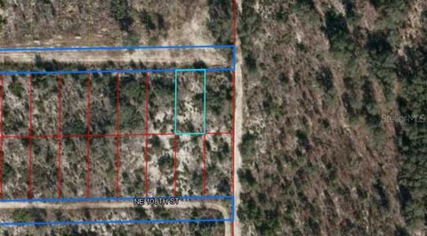 1215 OAKDALE HEIGHTS ARCHER FL 32618