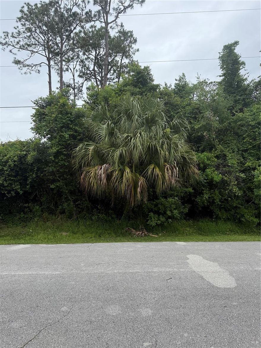 Welcome to paradise! Build your East-Coast Florida dream home on this desirable vacant lot located in the fast growing heart of the city.
Palm Coast continues to rank as one of Florida’s rapidly expanding cities due to strong migration and development:
#18 nationally (2022–2023 growth, U.S. Census) and Top 25 fastest-growing U.S. cities.
Population growth: nearly 20 percents since 2020 and currently has an estimated population of about 106,700 residents (latest U.S. Census 2024 estimate) with some 2026 projections place it closer to 110,000–115,000 due to rapid growth and up to 250,000 in future with great jobs opportunities. 
Experience comfortable coastal living in Palm Coast—nestled along the beautiful North Atlantic shoreline with refreshing year-round breezes. Enjoy a peaceful lifestyle away from busy urban congestion while still offering convenient access to beaches, nature, and modern amenities with the diverse, welcoming communities in a secure and peaceful environment.
The 15 Pepper Ln offers a prime opportunity with no HOA, convenient access to famos shopping, high rated schools, new medical facilities, beaches, and major highways. Situated in an established nice homes neighborhood with new construction nearby, this property is ideal for builders, investors, or future homeowners.
Don’t miss this excellent opportunity to secure land in one of Palm Coast’s expanding areas. 
Drive by, fall in love, and make it yours!!!