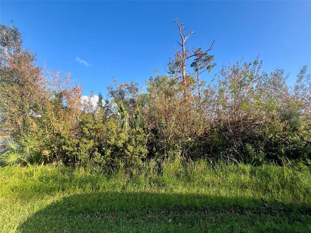 Photo of 5186 Venus Terrace, Port Charlotte, FL 33981 (MLS # C7500042)