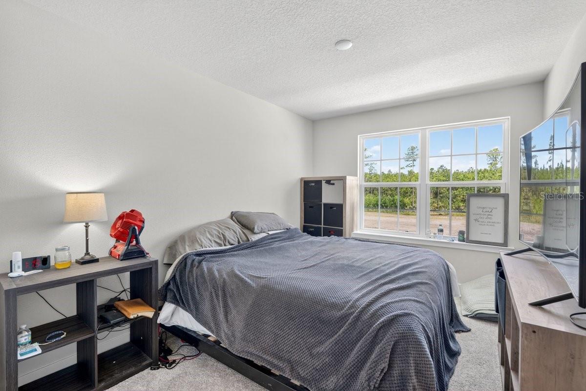 SEMINOLE PALMS - Residential