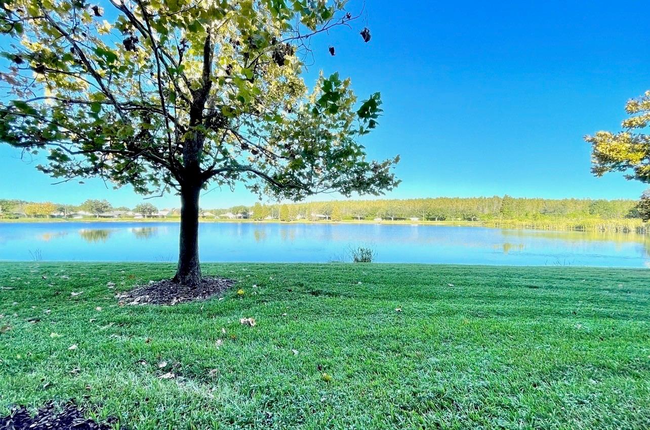 LAKEVIEW AT CALUSA TRACE - Residential