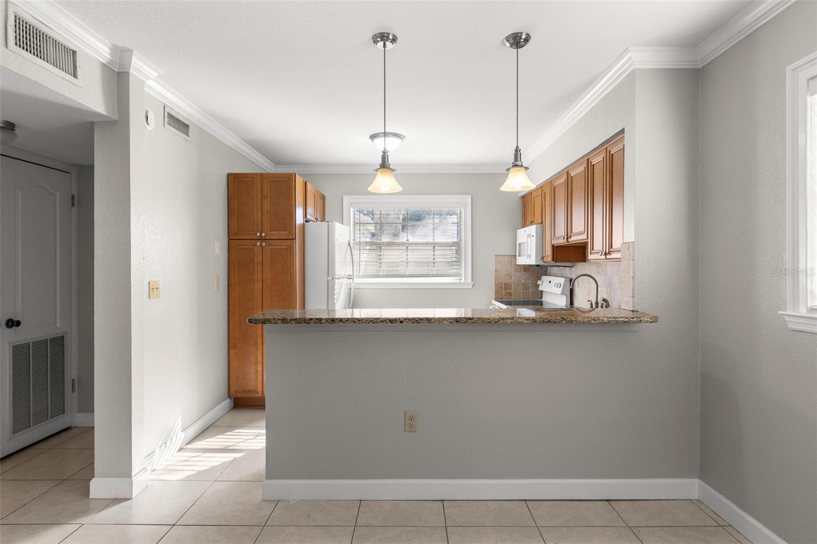 TAMPA BAYSHORE VILLAS CONDOMIN - Residential Lease