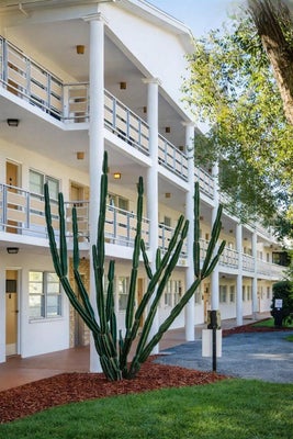 911 WASHINGTON AVE APT 117, LARGO, FL 33770 - Image c267ab472a706b44a0fabdf4960cc5c8/559488514