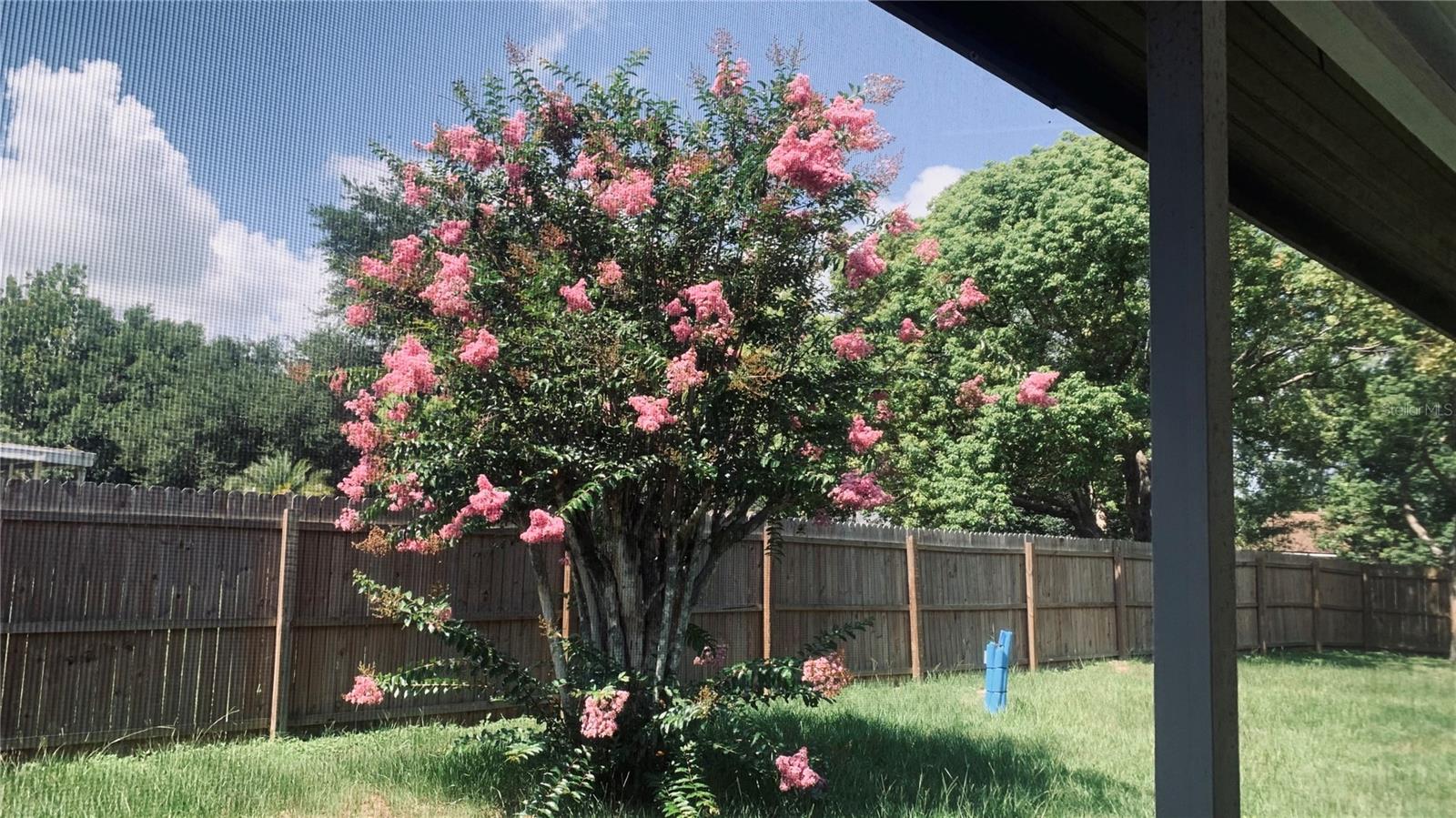 MADISON PARK SUB - Residential Lease