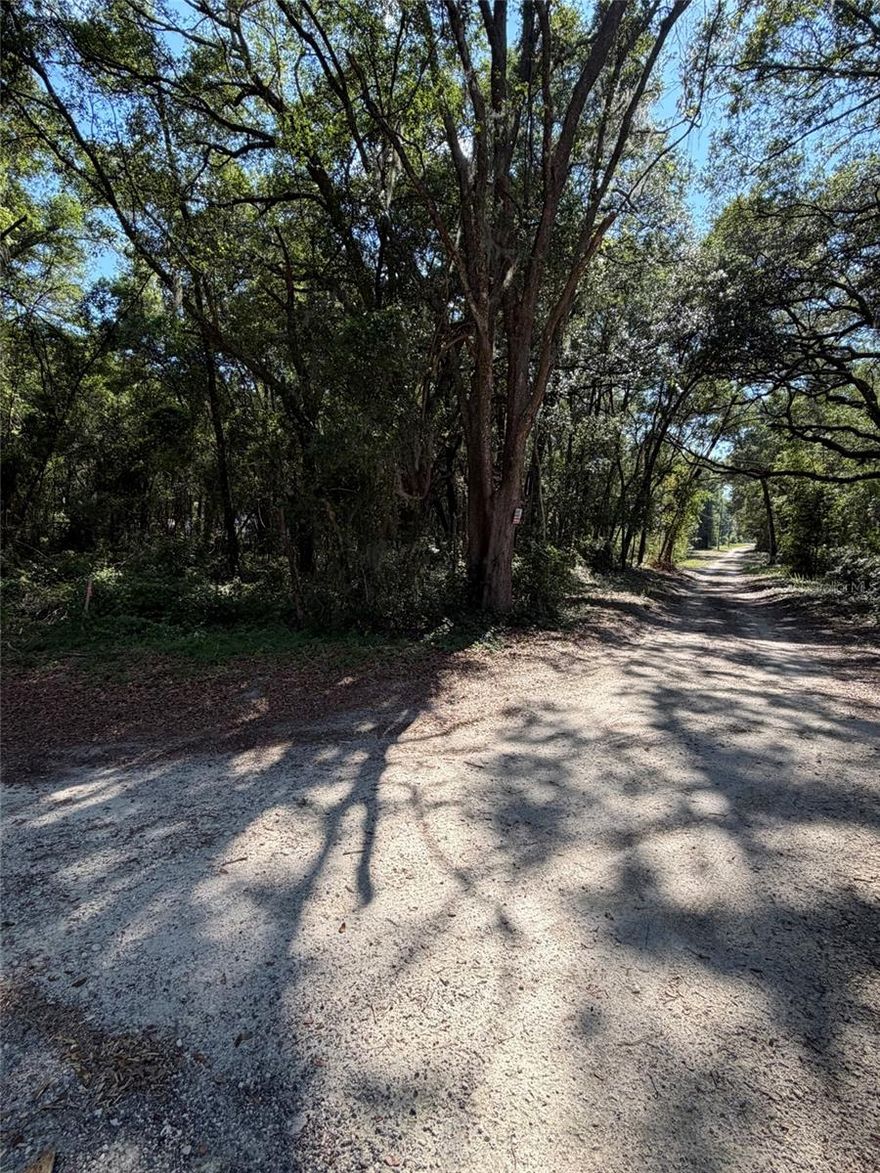 Super 1.272 acre lot zoned A1. No HOA and no deed restrictions. Recently staked and survey in hand. Great corner lot with ingress/egress to both 146th place and 117th court. Just a few steps down the private 117th court into Ross Prairie state forest for hiking, biking or trail riding. Easy access to 200, 484 and easy hop over to 75 as well. Close to shopping ,hospitals, drs. So much privacy in a fast growing area!