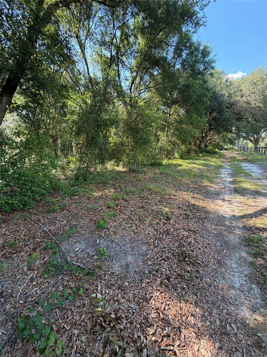 FLORIDA HLNDS #328 - Land
