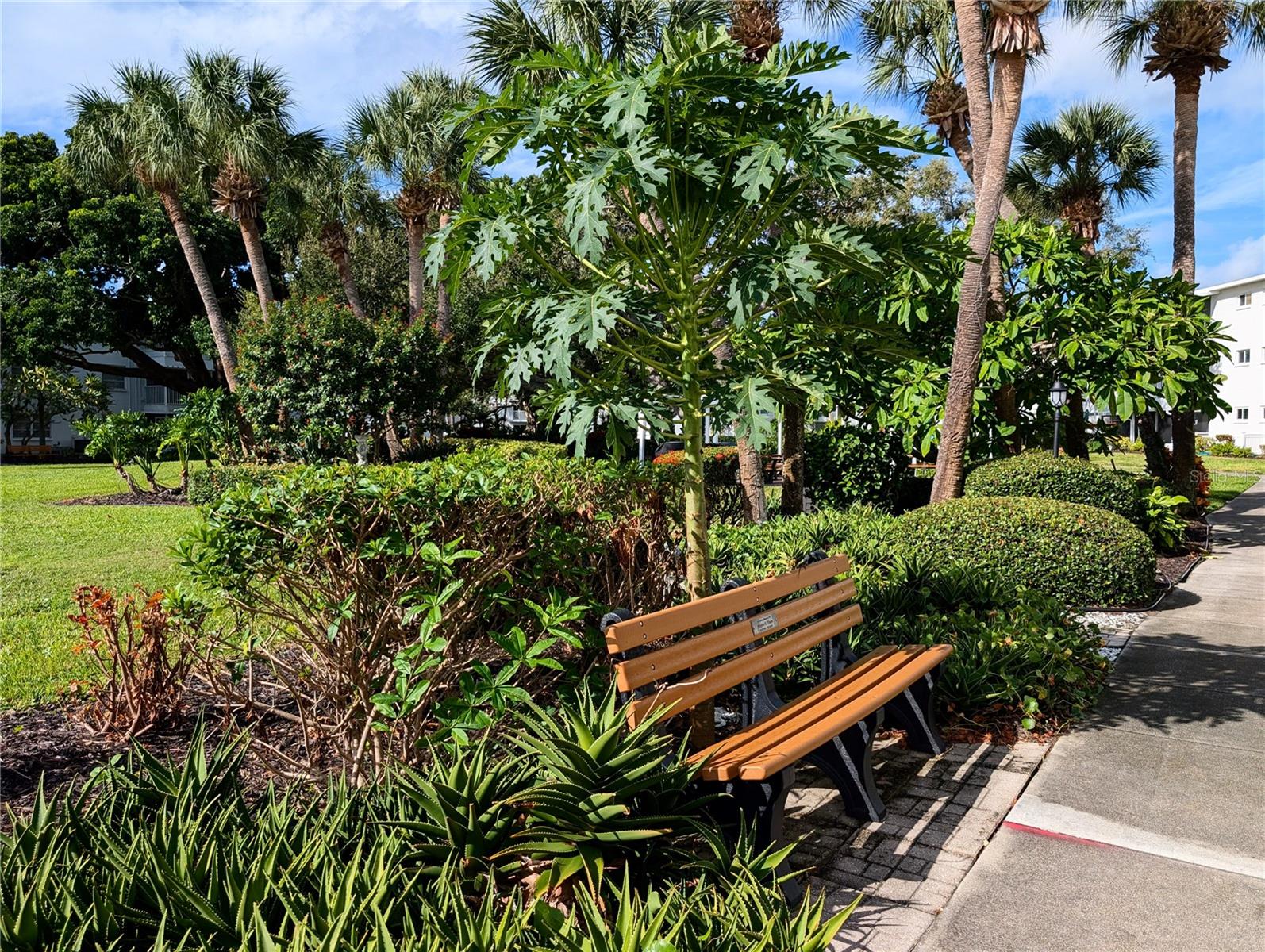 THE FOURTH BAYSHORE - Residential