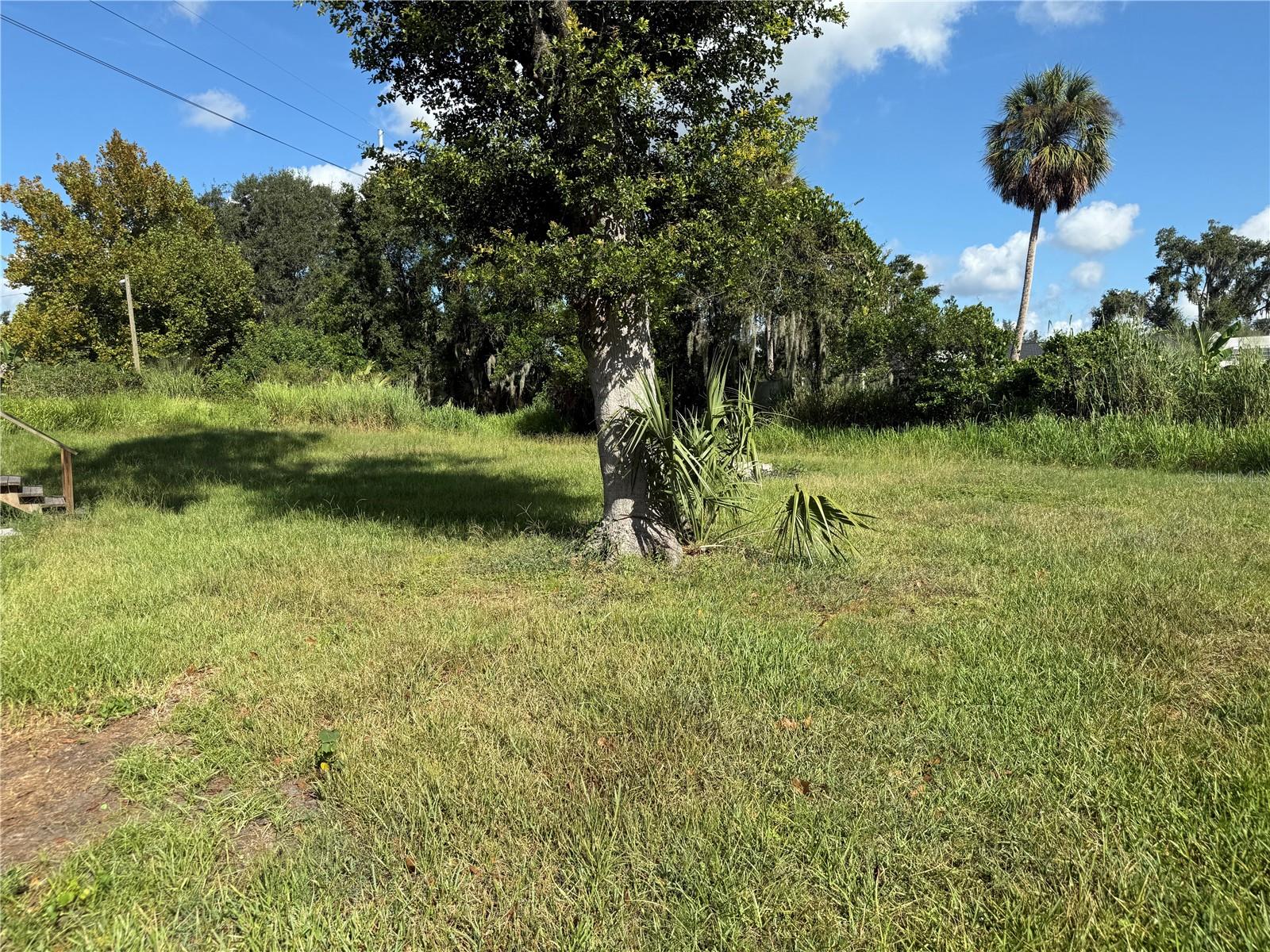 SHADY HAMMOCK - Residential