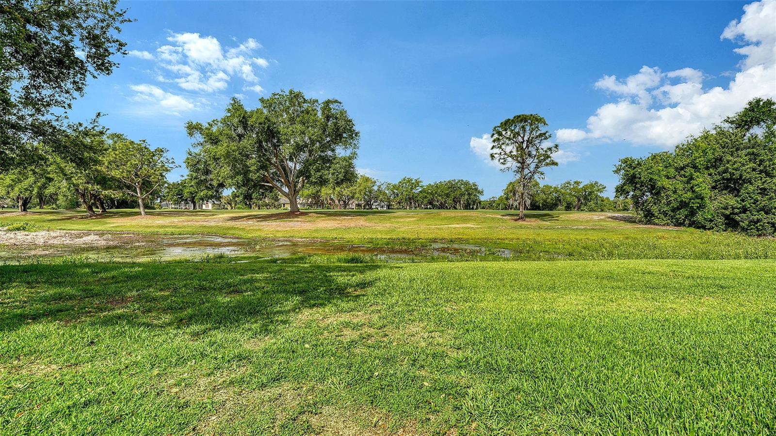 RIVER CLUB SOUTH SUBPHASE IV - Residential