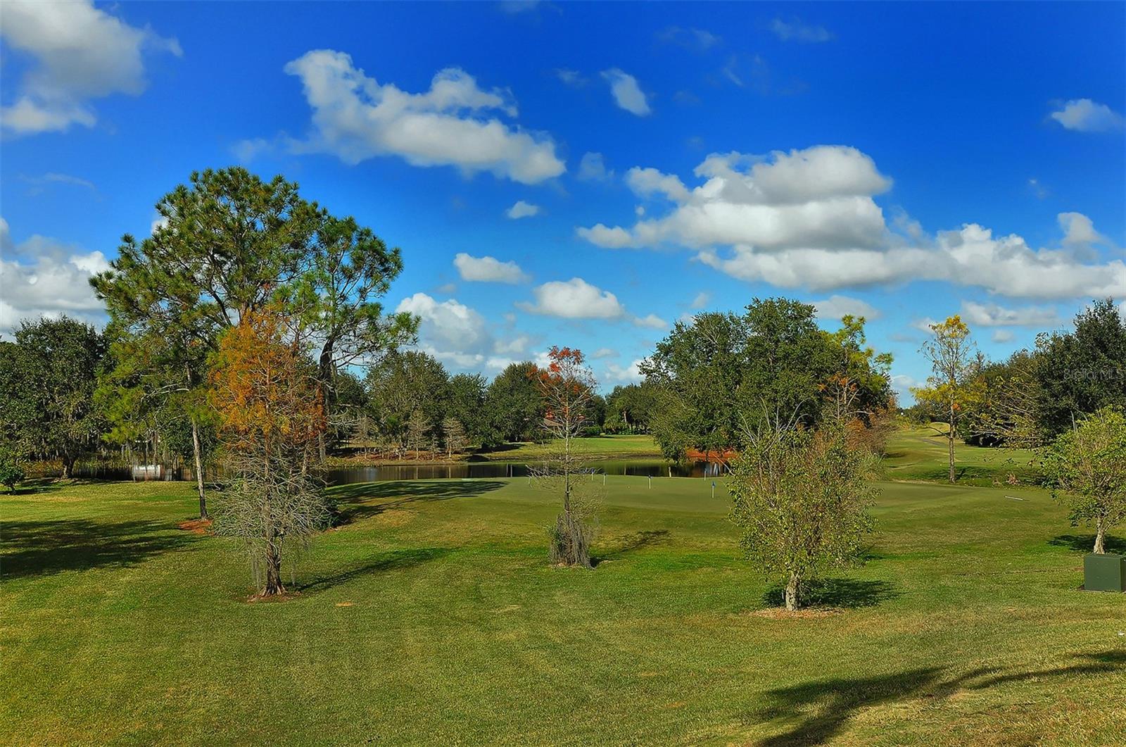 RIVER CLUB SOUTH SUBPHASE IV - Residential