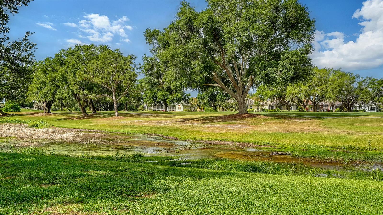 RIVER CLUB SOUTH SUBPHASE IV - Residential