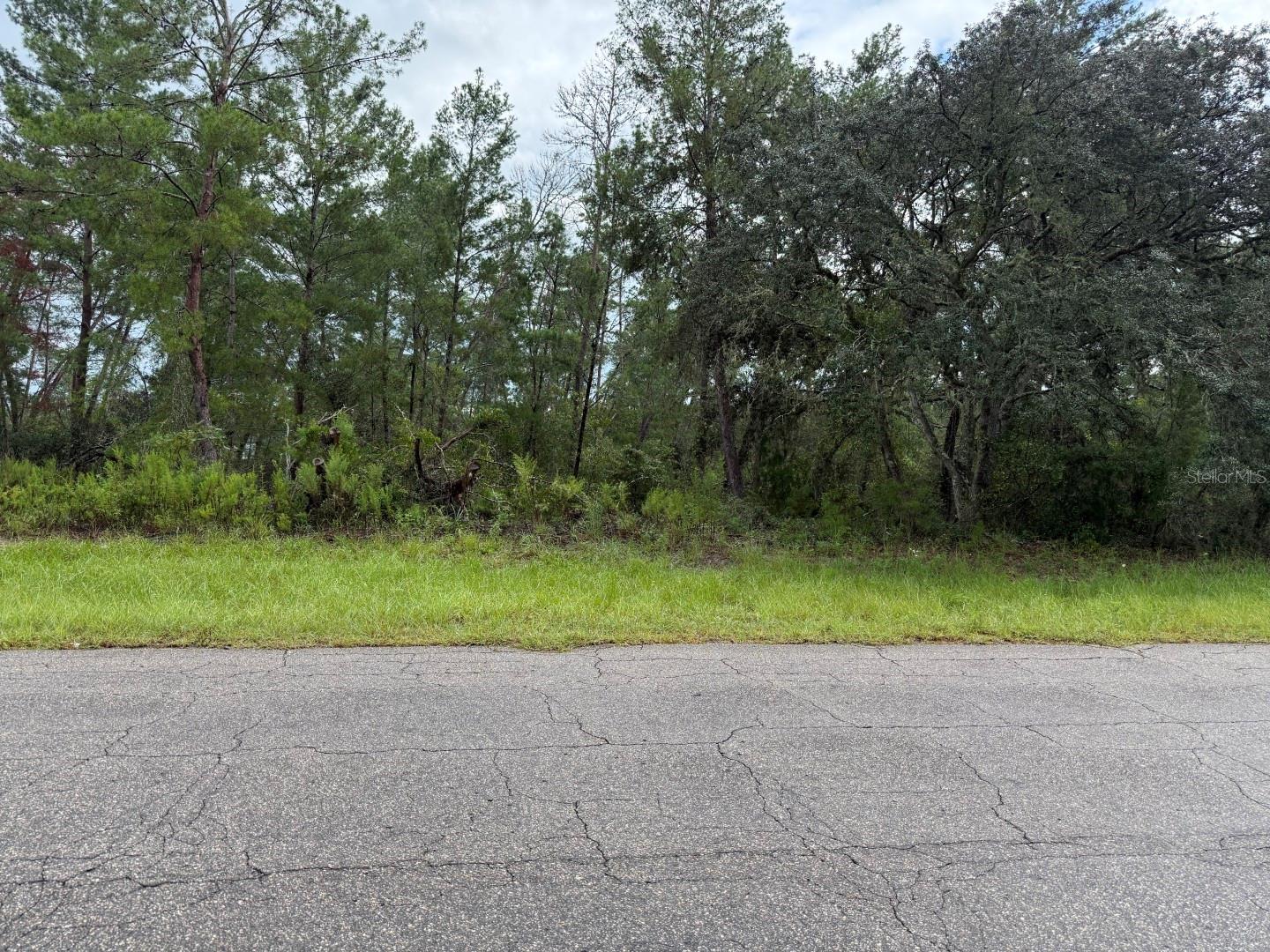 MARION OAKS - Land