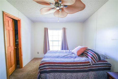 Tiny photo for 14050 SE 50th Street, Morriston, FL 32668 (MLS # OM711581)