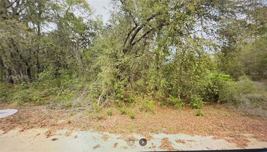 Priced to Sell!  This 0.43 acre piece of land is Ready for you to make it yours!  Located on Elizabeth Ci with whats currently a dry lake area in between Sheila Ave and Guy Ave.  Located in Interlachen Lake Estates in Putnam County where there are low property taxes and no impact fees right now.  Bring your camper, trailer, mobile home, toys, or build your dream home.  Close to major highways and places you'd want to be at.  Don't let is opportunity that's phenomenally priced to pass you by, what do you have to loose?