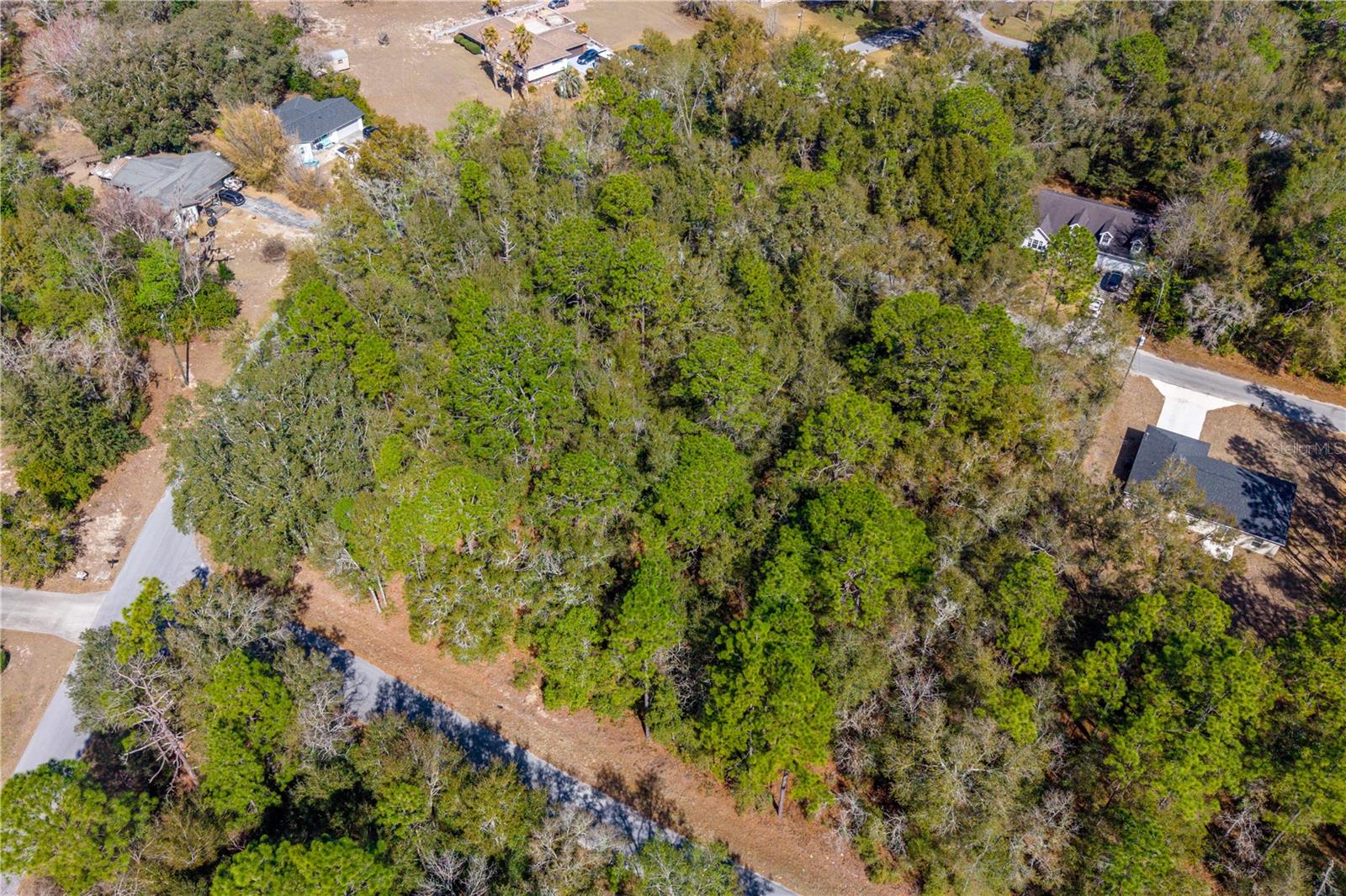 WILLISTON HYLNDS GOLF & C CLUB ESTATE - Land