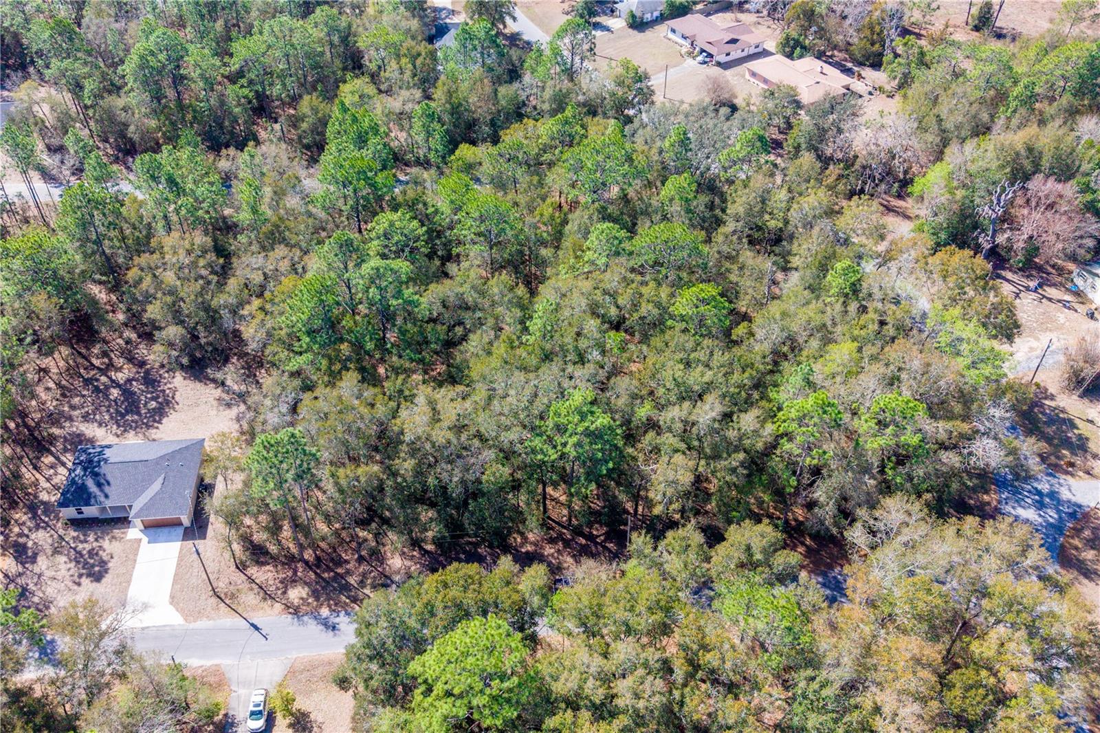 WILLISTON HYLNDS GOLF & C CLUB ESTATE - Land