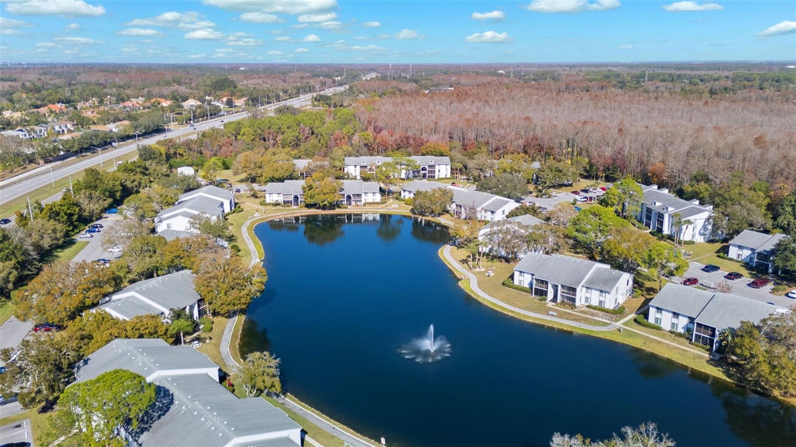 PINE RIDGE AT LAKE TARPON VILLAGE - Residential