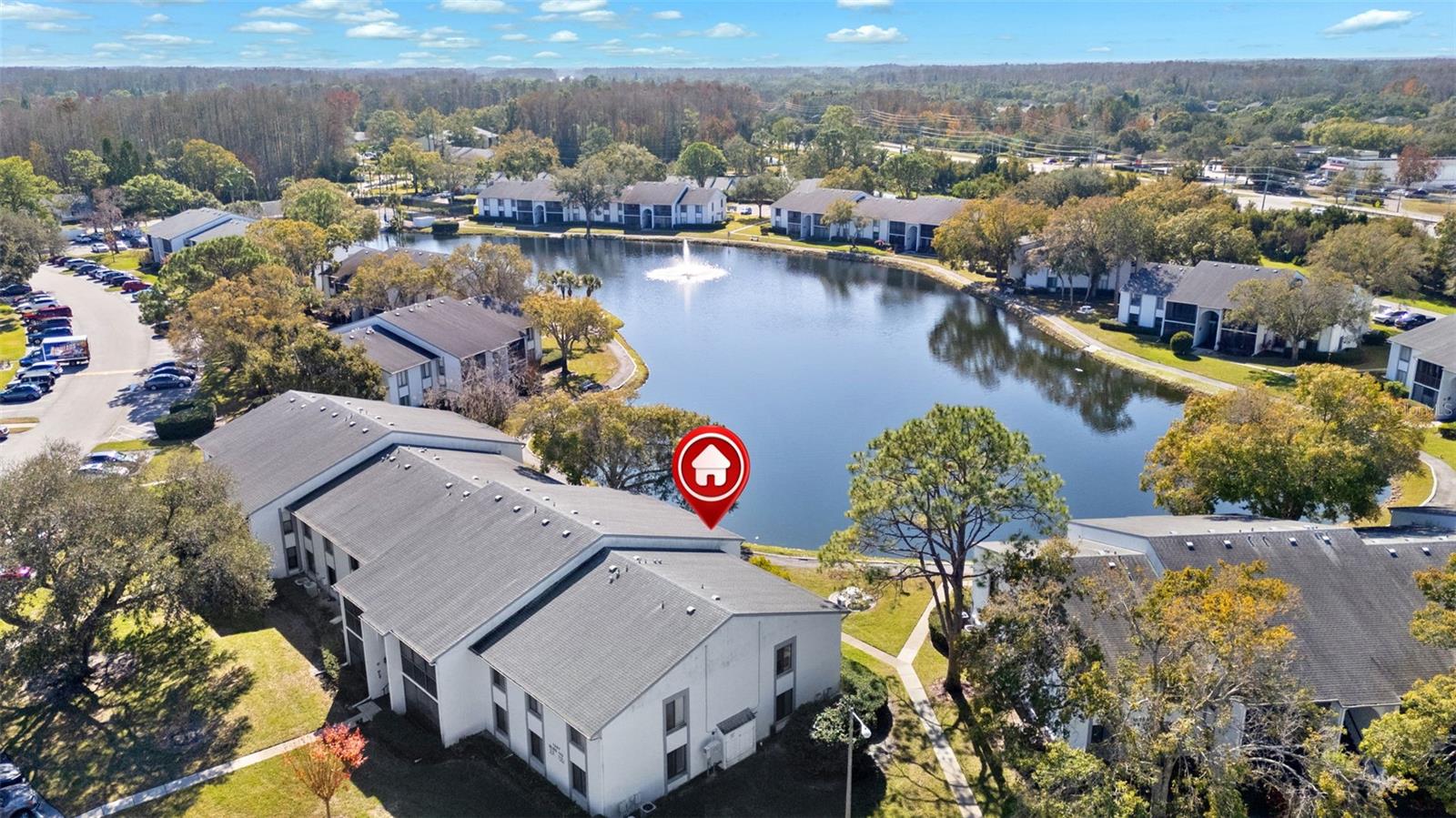 PINE RIDGE AT LAKE TARPON VILLAGE - Residential