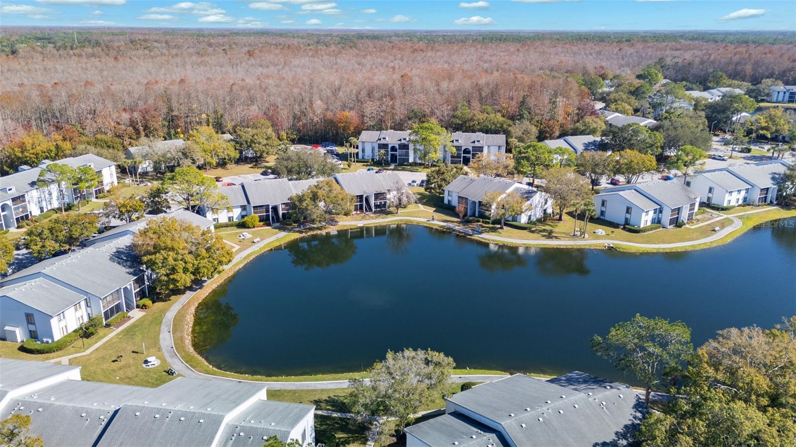 PINE RIDGE AT LAKE TARPON VILLAGE - Residential