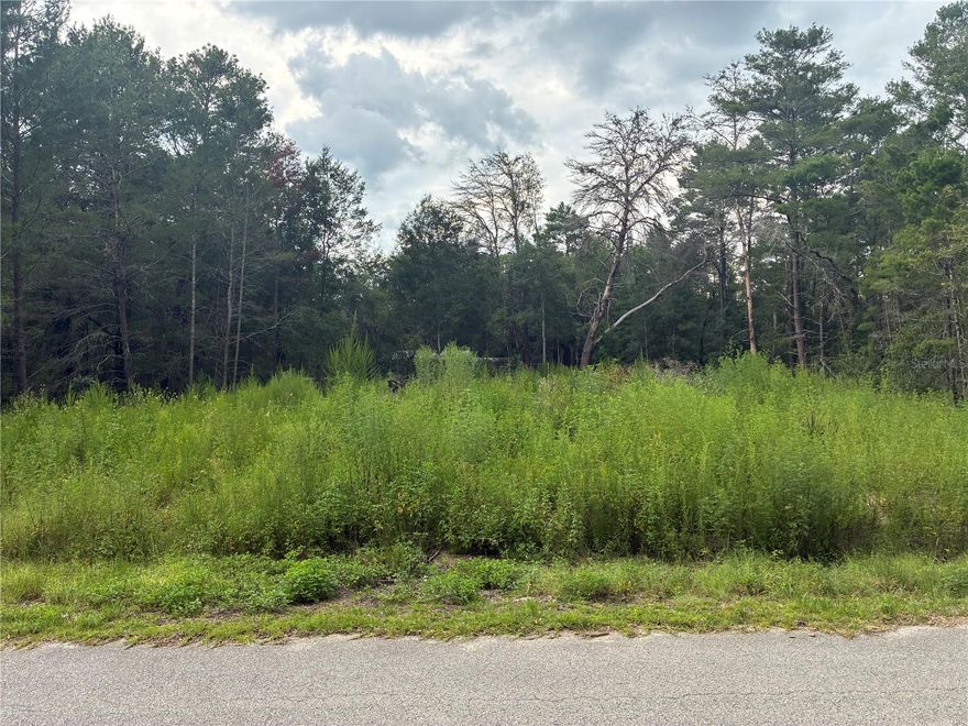 Discover the perfect opportunity to own a beautiful .24-acre lot in Rainbow Lakes Estates, a peaceful community located just outside of Dunnellon, Florida. This property offers plenty of space to design and build your dream home while enjoying the quiet, country setting. With no HOA fees, paved roads, and easy access to nearby lakes, parks, and nature trails, it’s an ideal spot for those who love the outdoors. Conveniently located just a short drive from downtown Dunnellon, Ocala, and Crystal River, you’ll have shopping, dining, and recreational activities within reach. Whether you’re planning your future home or looking for an investment, this lot is a great choice.
