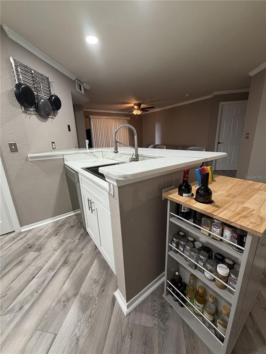 LAKEVIEW AT CALUSA TRACE - Residential