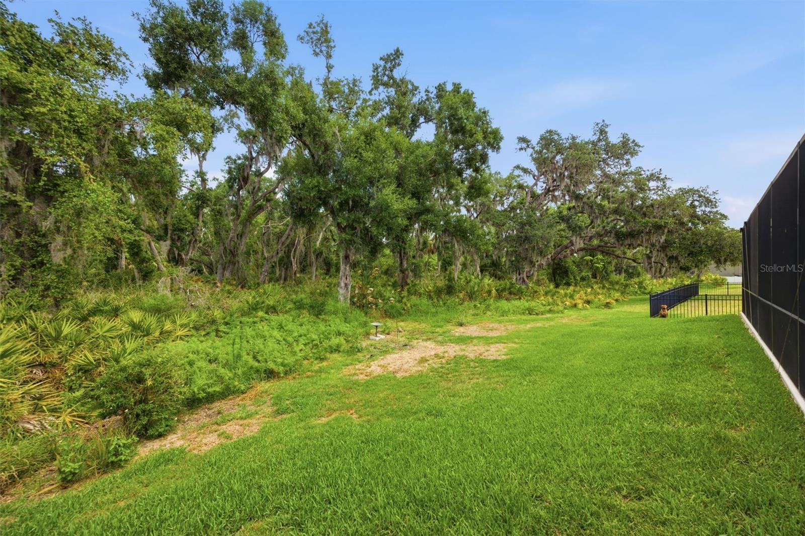 OAKLEAF HAMMOCK PH IV - Residential