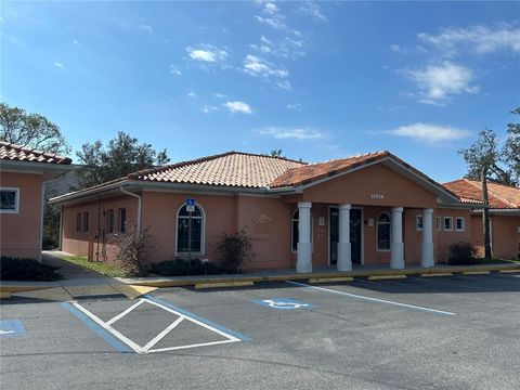 37914 DAUGHTERY ROAD ZEPHYRHILLS FL 33541
