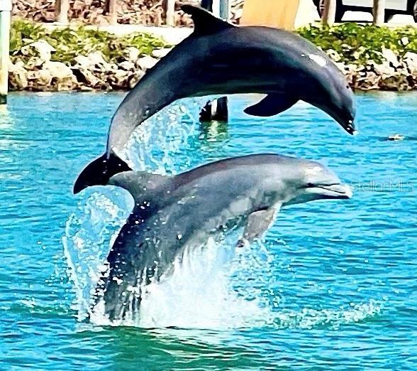 HARBOR LIGHTS MHP CO-OP - Residential