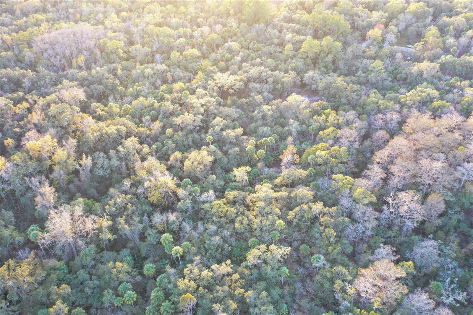 TRAIL END RETREATS UNREC - Land