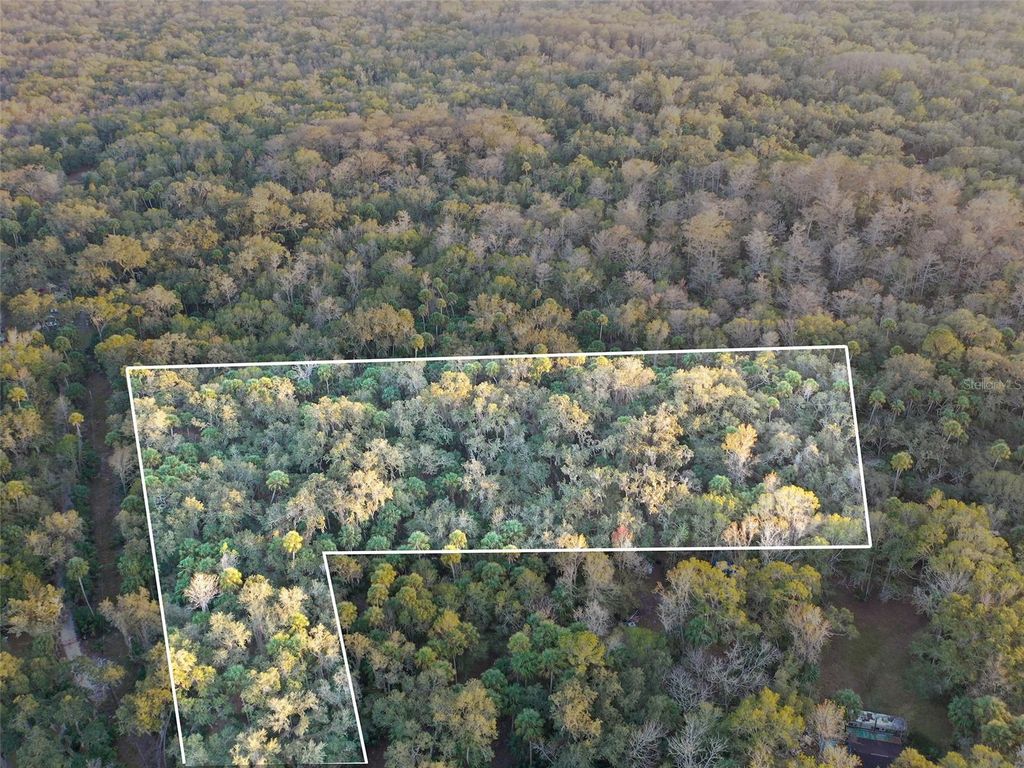 Photo of Inverness, FL 34450 (MLS # O6368406)