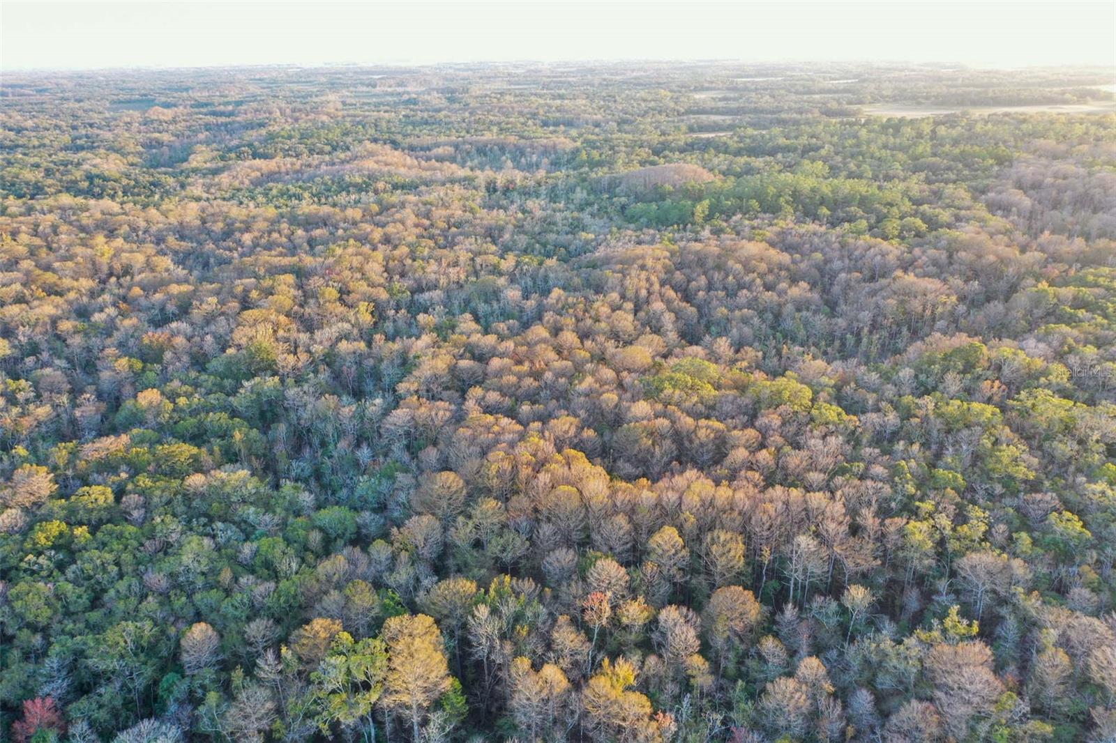 TRAIL END RETREATS UNREC - Land