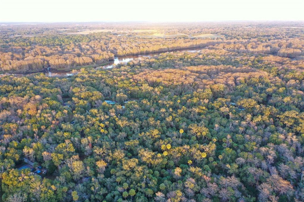 Photo of Inverness, FL 34450 (MLS # O6368406)