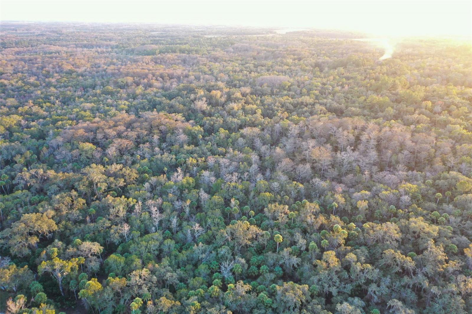 TRAIL END RETREATS UNREC - Land