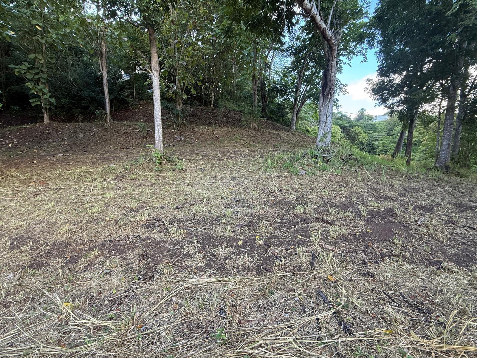 CARRETERA 826 KM 1.2 INTERIOR, SECTOR HATITO