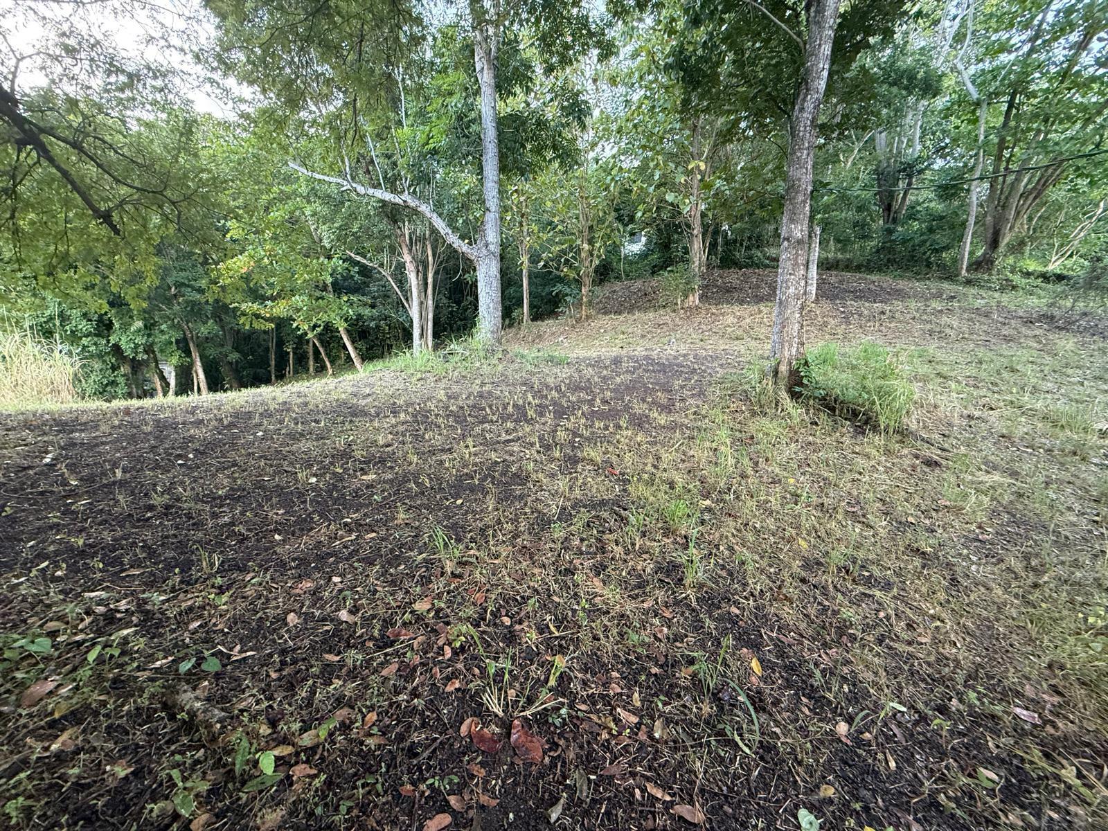 CARRETERA 826 KM 1.2 INTERIOR, SECTOR HATITO