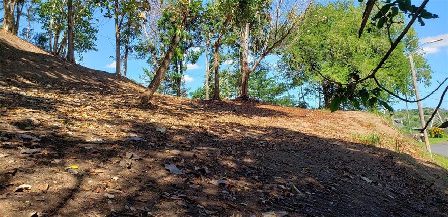 Beautiful lot with 2,435 square meters, located on PR-826 Road, Km 1.2 Interior, Sector Hatito, Barrio Guadiana, Naranjito, Puerto Rico.  This property enjoys a privileged location and offers a beautiful panoramic view of the Naranjito Cable-Stayed Bridge, one of the most recognized landmarks in the municipality.  The lot is zoned R-G (Rural General), allowing for a variety of residential and rural uses, including the construction of a single-family or two-family residence, as well as agricultural activities.  Its gently sloping topography makes it ideal for developing the home of your dreams, maximizing scenic views, natural ventilation, and the refreshing rural surroundings, without sacrificing accessibility to urban areas.  An excellent opportunity for rural development, investment, or a tourism-related project with income-generating potential.  Conveniently located approximately 6 km from the Plaza Los Palacios Shopping Center in Toa Alta and 9 km from the Rexville Town Center Shopping Center, offering easy access to pharmacies, supermarkets, restaurants, and essential retail services.  A property that perfectly combines peaceful rural living with urban convenience.  Proof of funds required.