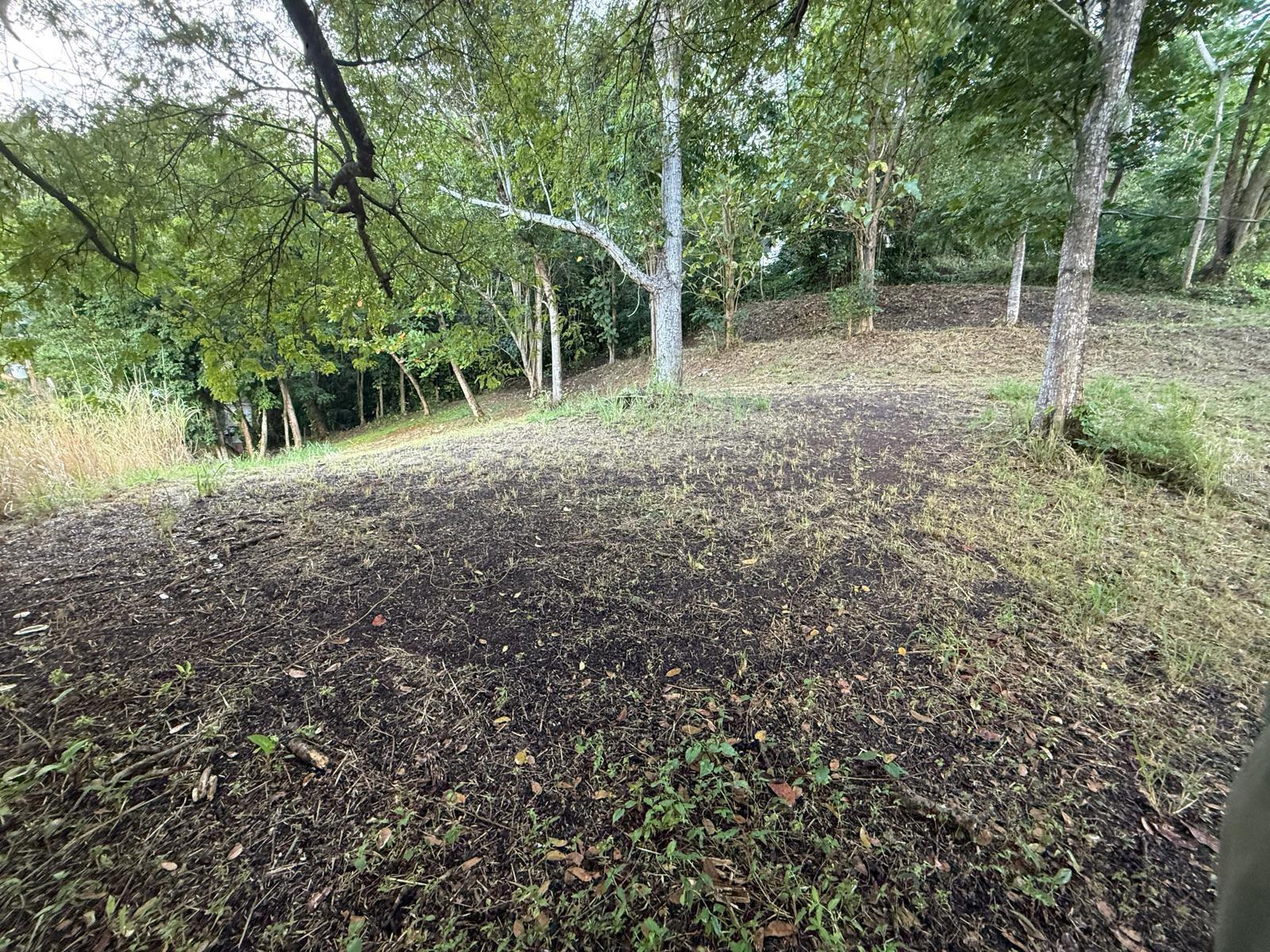 CARRETERA 826 KM 1.2 INTERIOR, SECTOR HATITO