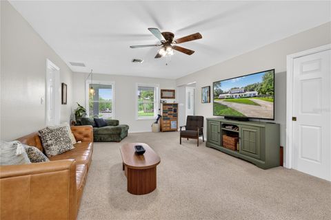 Tiny photo for 32040 Chestnut Lane, Sorrento, FL 32776 (MLS # G5110634)