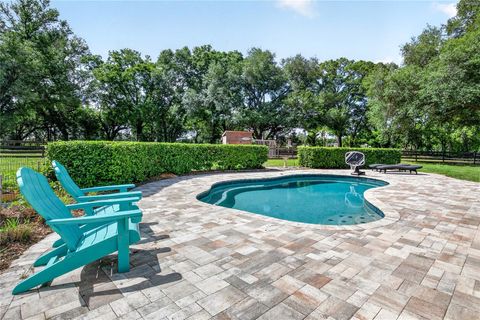 Tiny photo for 32040 Chestnut Lane, Sorrento, FL 32776 (MLS # G5110634)