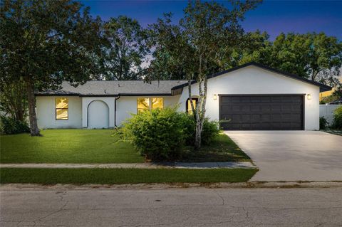 Photo of 10235 Maverick St, New Port Richey, FL 34654 (MLS # TB8428336)