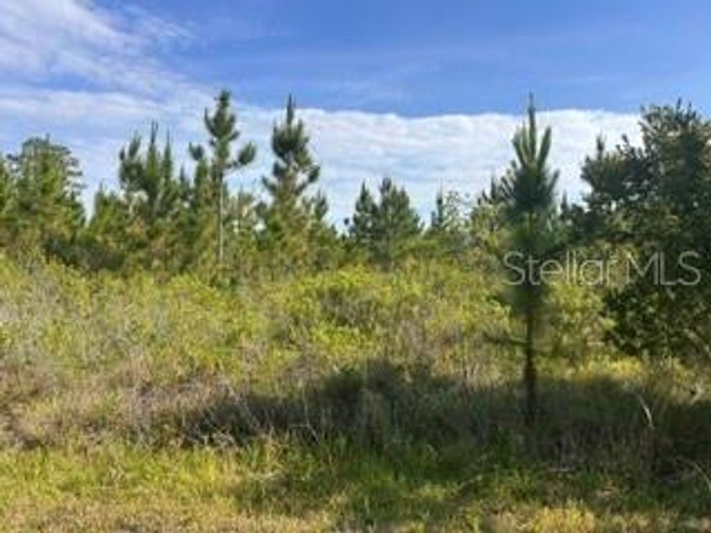 Photo of 118 Tropicana Drive, Indian Lake Estates, FL 33855 (MLS # TB8506906)