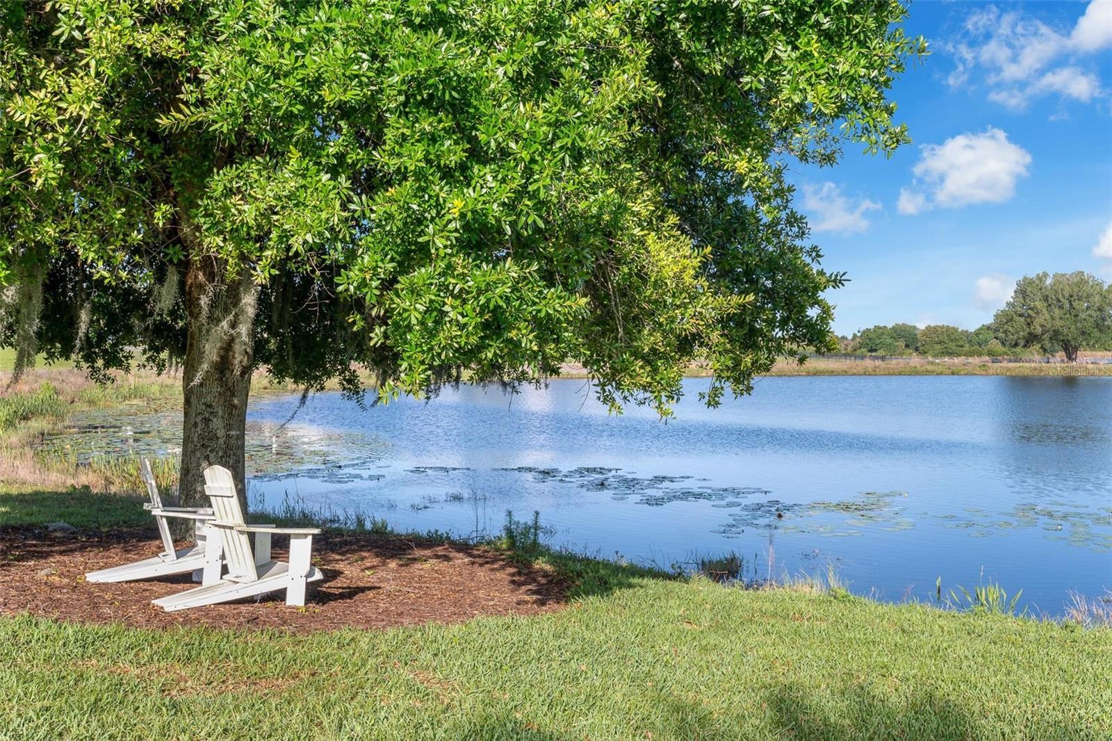 LAKESHORE PRESERVE PH 2 - Residential