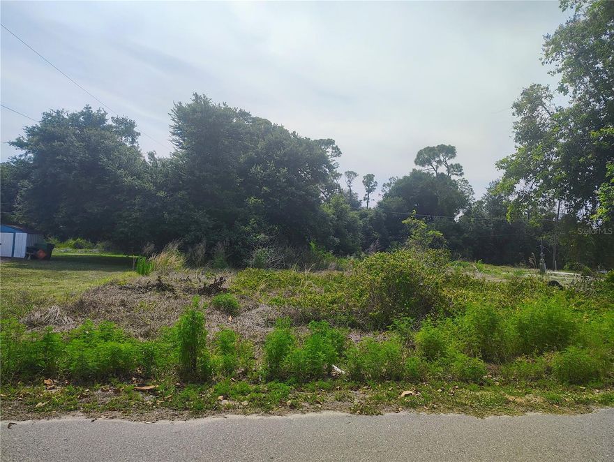 Build your Florida dream in growing Punta Gorda! This vacant residential lot located in Goose Creek Estates on 9315 Mandy Street offers a great opportunity for investors, builders, or future homeowners looking to secure property in a developing area of Charlotte County. Conveniently located near shopping, dining, golf courses, boating, fishing, and beautiful Gulf beaches, this property provides easy access to I-75, downtown Punta Gorda,CHARLOTTE HARBOR and nearby Port Charlotte. Enjoy the Florida lifestyle with plenty of room to create your custom home while still being close to schools, parks, and everyday conveniences. No HOA fees and plenty of potential in this expanding Southwest Florida community. Don’t miss your chance to own land in one of Florida’s fastest-growing areas! MULTIPLE LOTS AVAILABLE!