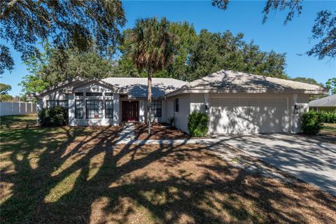 A home in SPRING HILL