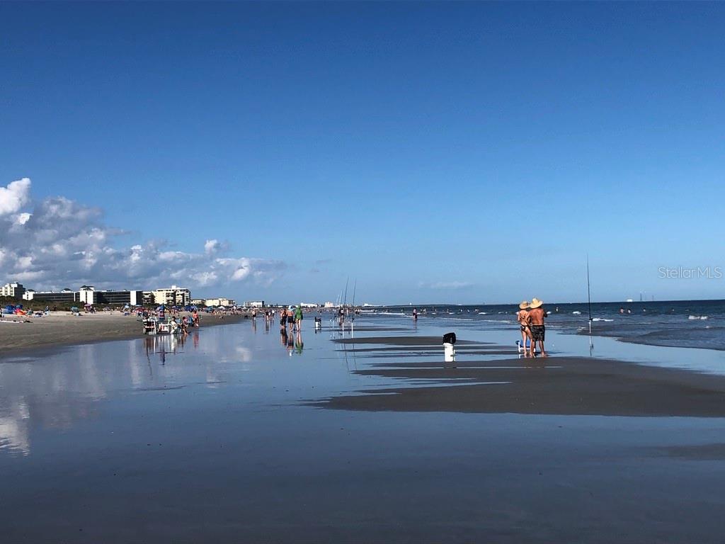 DELESPINE ON INDIAN RIVER - Residential