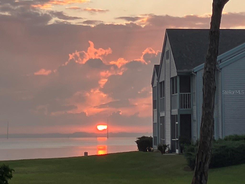 DELESPINE ON INDIAN RIVER - Residential