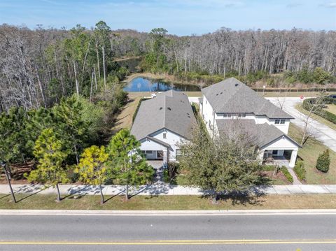 Photo of 3841 Night Star Trail, Odessa, FL 33556 (MLS # W7883390)