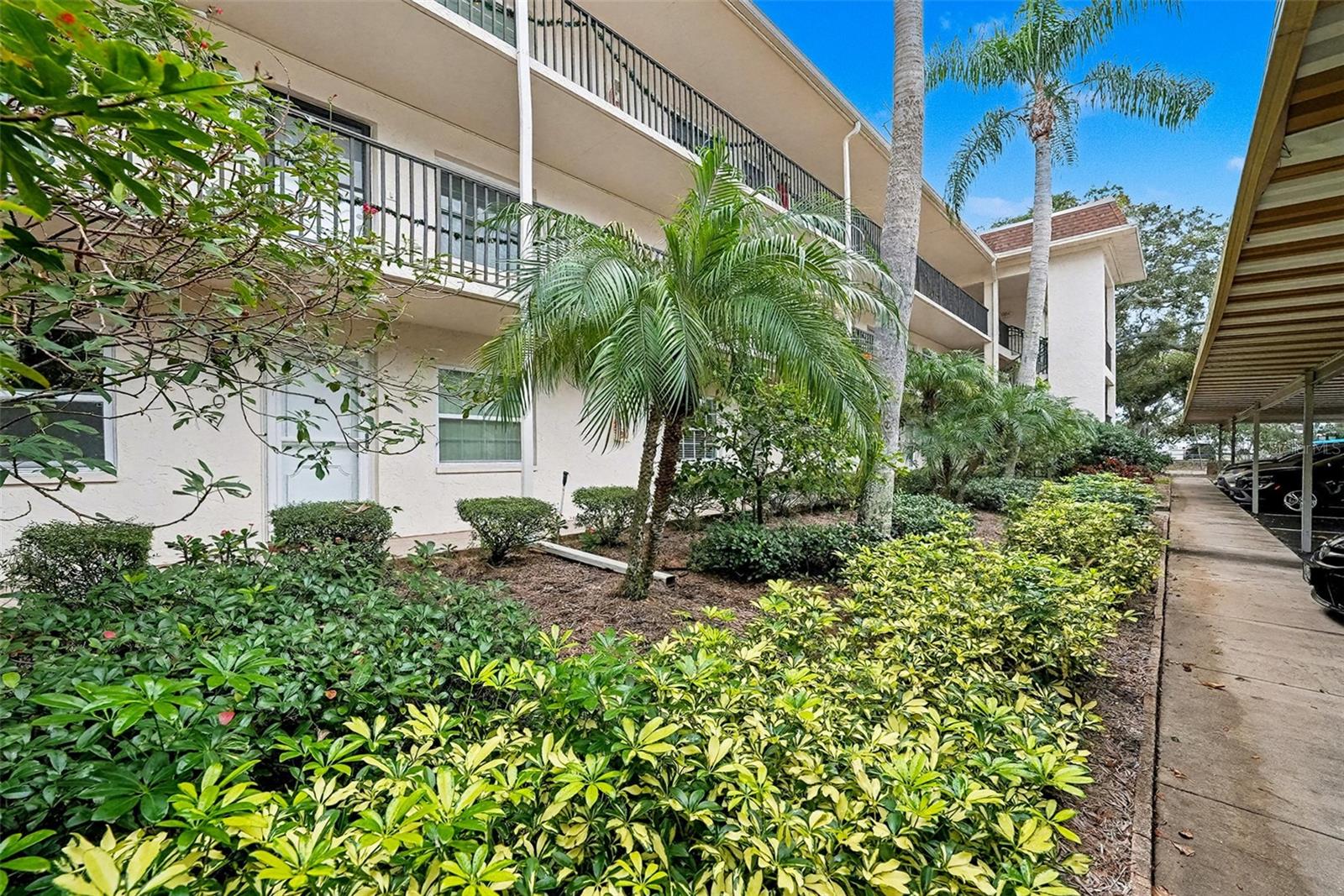 PATRICIAN OAKS - Residential