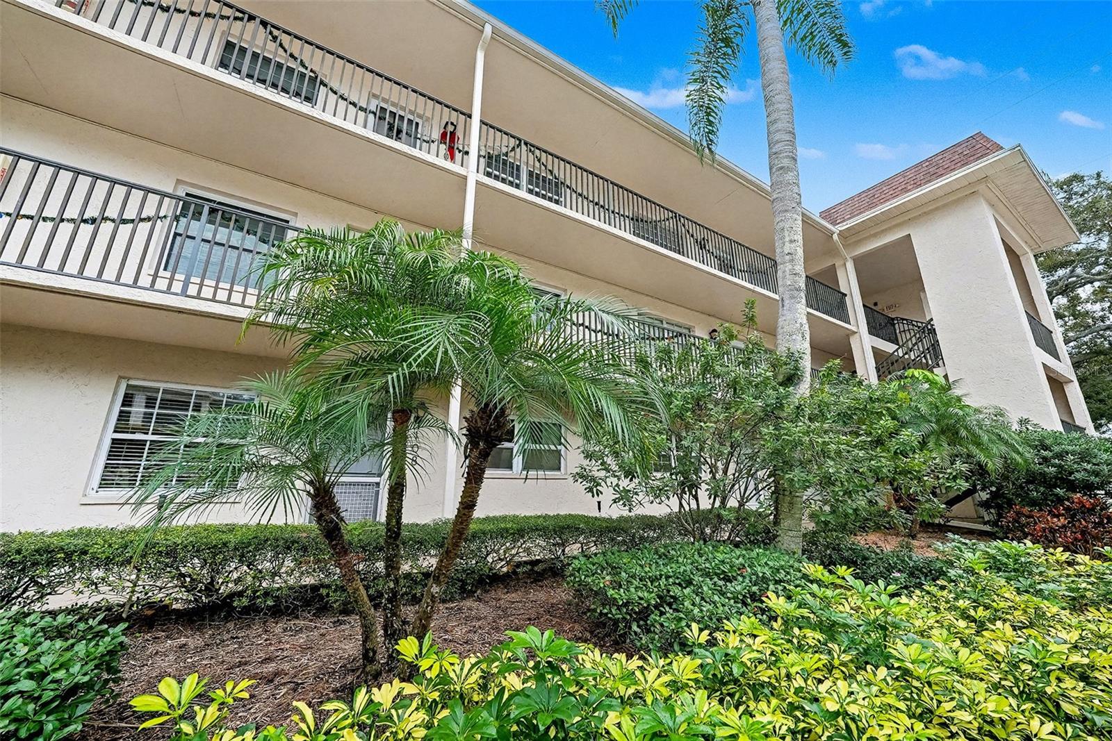 PATRICIAN OAKS - Residential